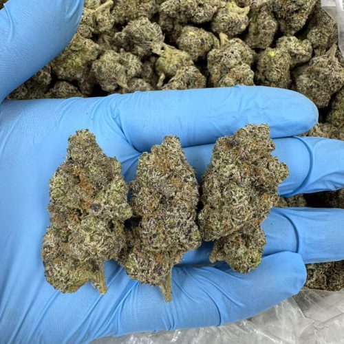 CANDY APPLE RUNTZ #5563